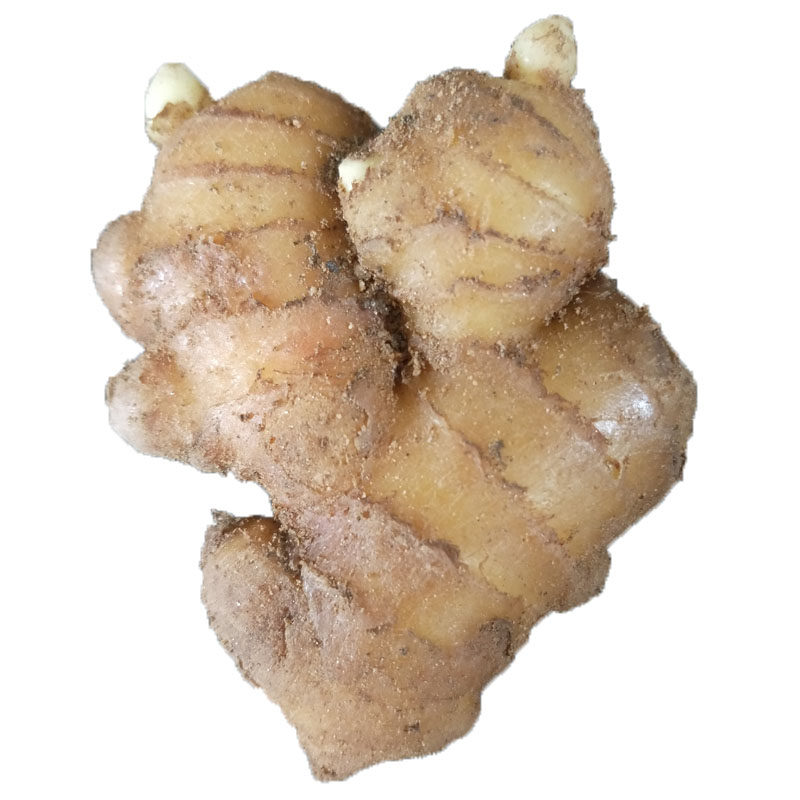 生姜大别山农家自种新鲜小黄黄姜月子姜生姜种子生姜