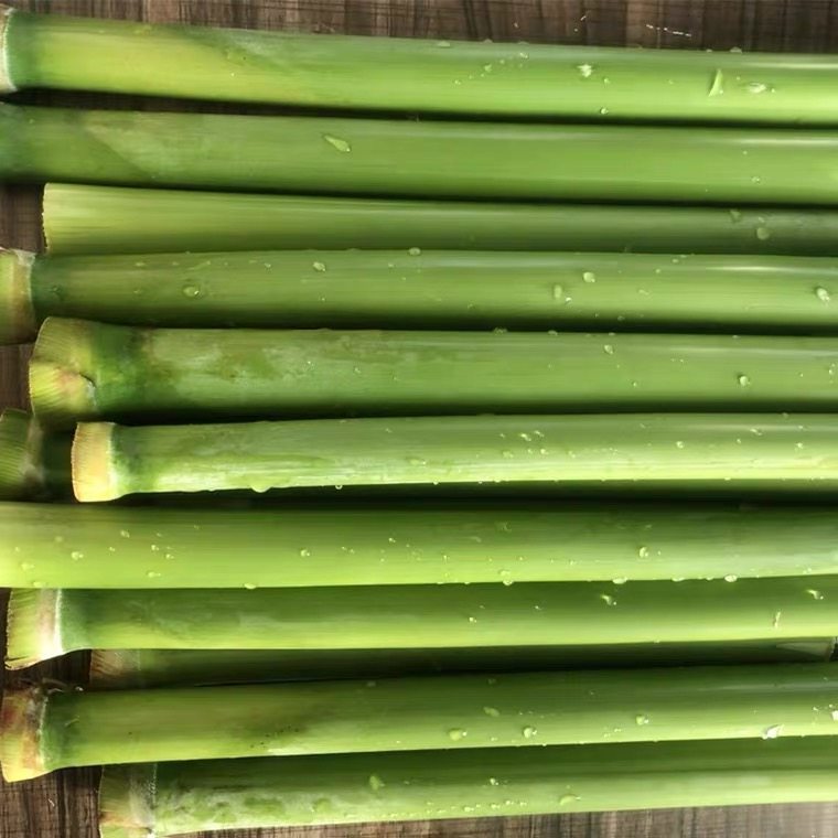 兔子磨牙21年苹果代替500g甜竹咬木纤维高纤维兔兔磨牙