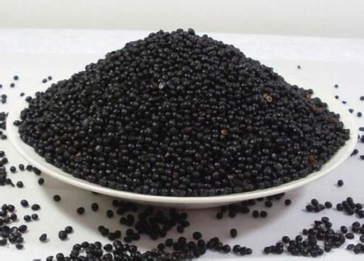 韩城大红红袍育苗无刺黄盖狮子头种子花椒散装花椒