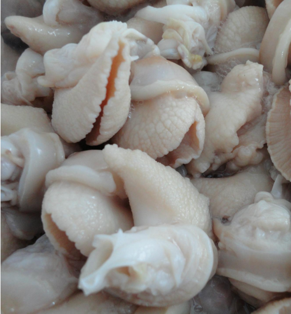 白玉蜗牛肉法式焗蜗牛烤蜗牛烧烤火锅食材特产稀有美食蜗牛速冻肉