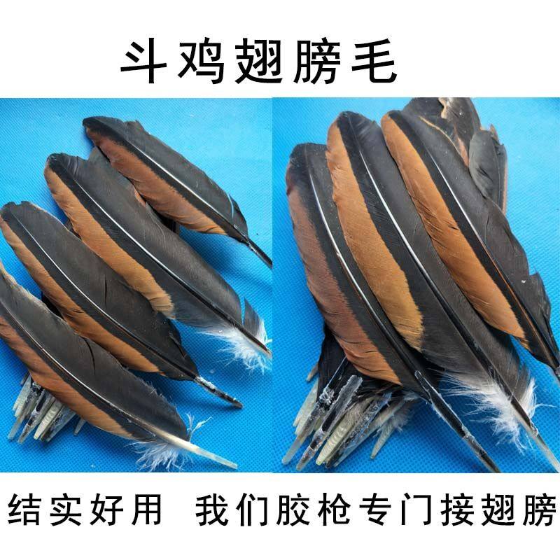 斗鸡毛斗鸡用品斗鸡鸡翅膀羽毛斗鸡训练用品斗鸡接毛枪斗鸡羽毛