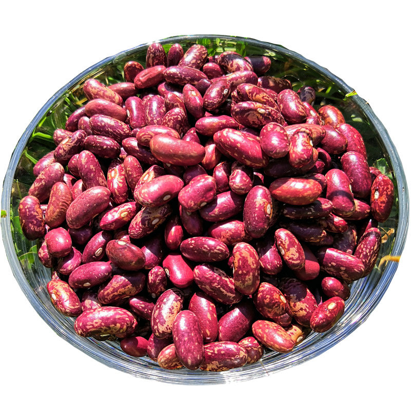 东北特产五谷杂粮大饭腰鼓红花芸豆新鲜黑龙江农民其它