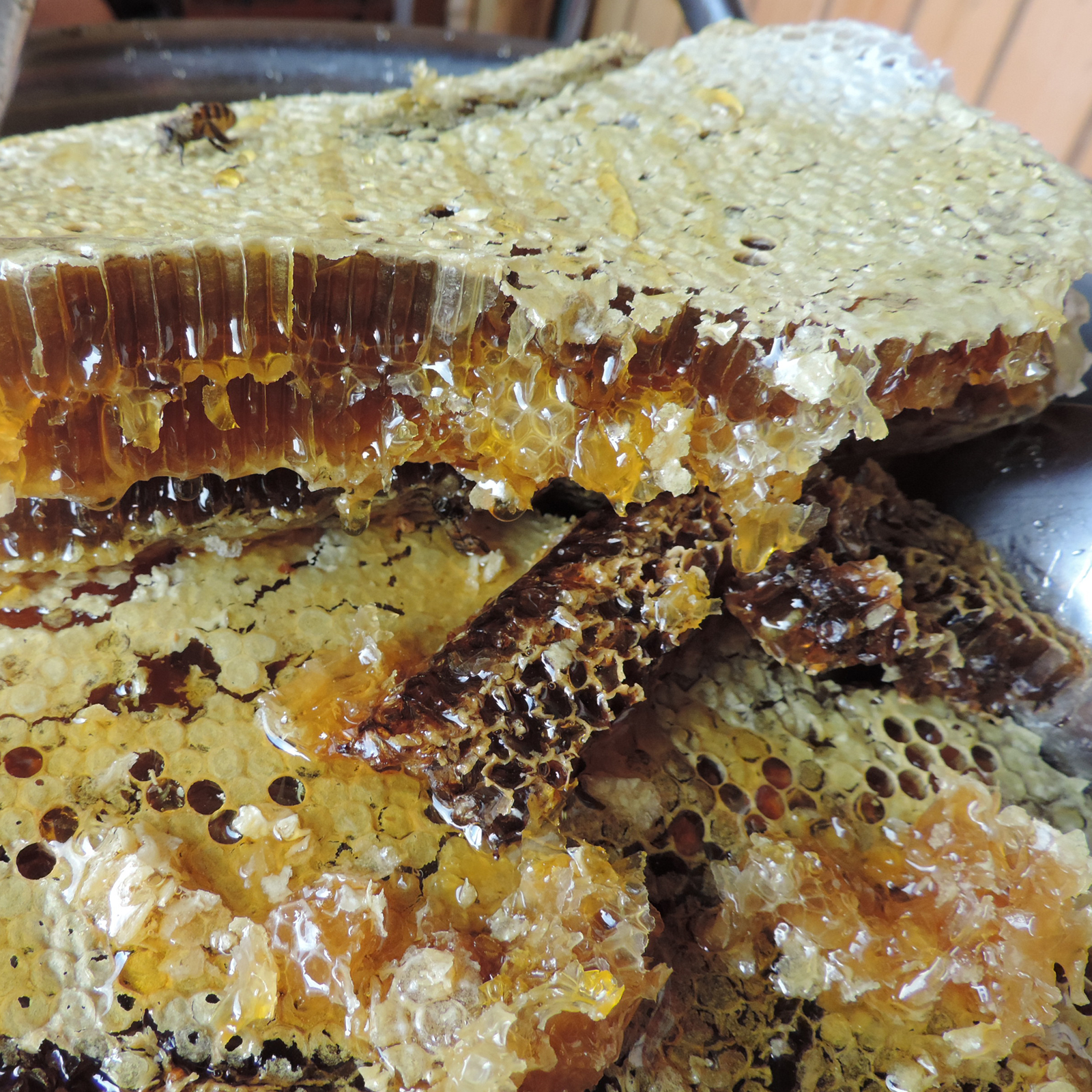 羌家蜜源土蜂蜜正宗百土花蜜老巢蜜天然成熟蜜零添加食用好蜜产品