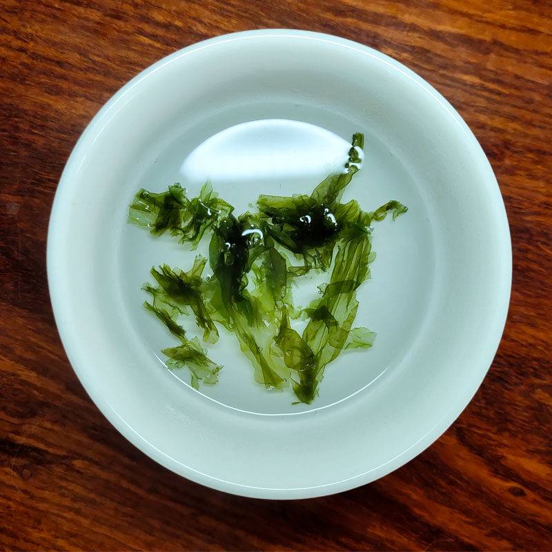 汕头南澳头水紫菜250克半斤新鲜无沙免洗野生紫菜