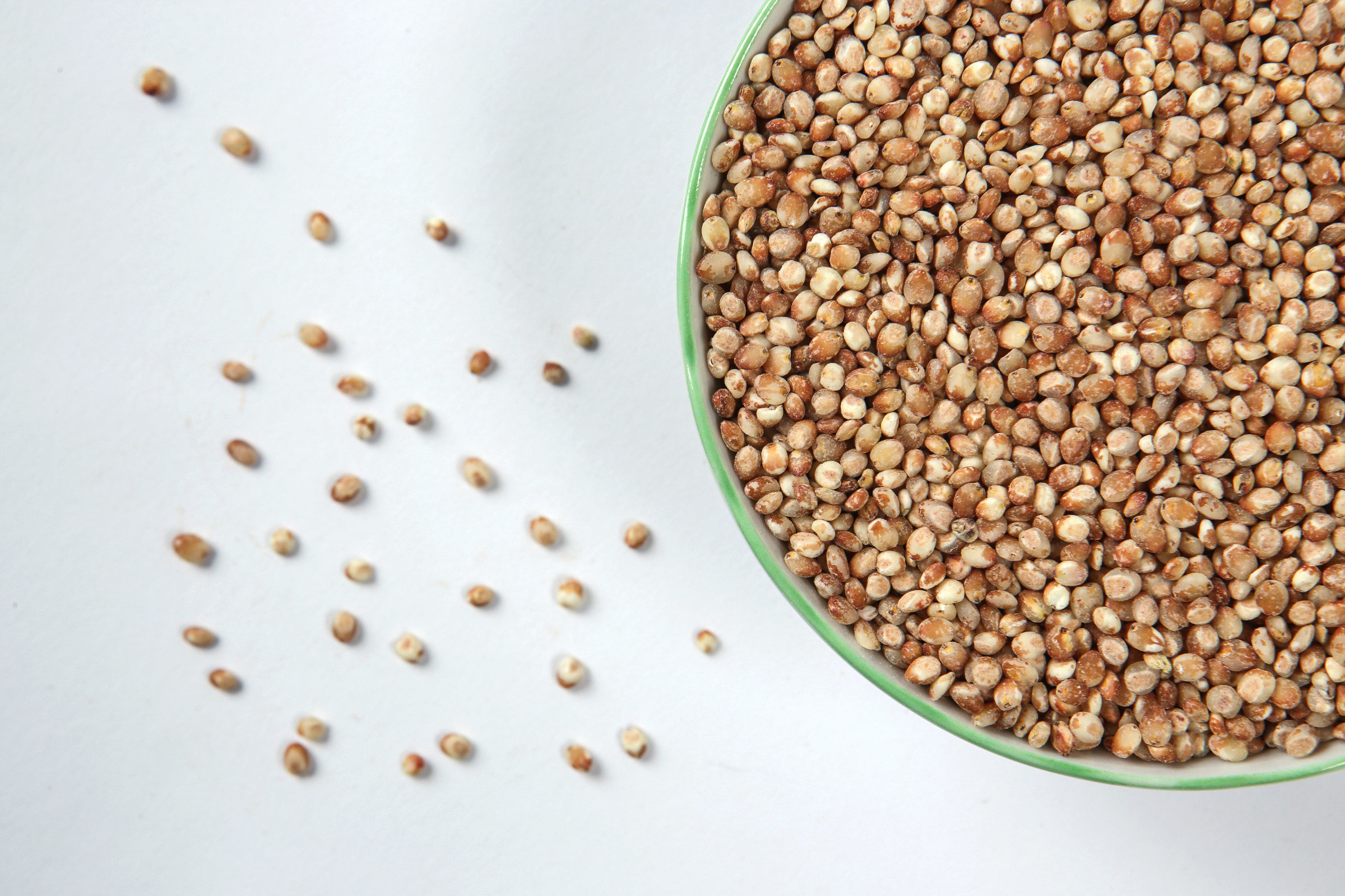 红高粱包邮煮饭熬粥高粱新高粱脱壳东北高粱米有机其它粮食