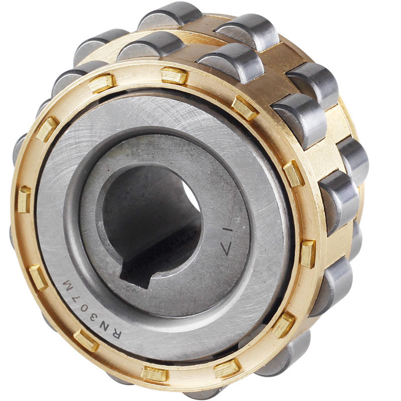 偏心轴承rn307摇摆减速机专用rn205整体309轮凸轮圆柱滚子轴承