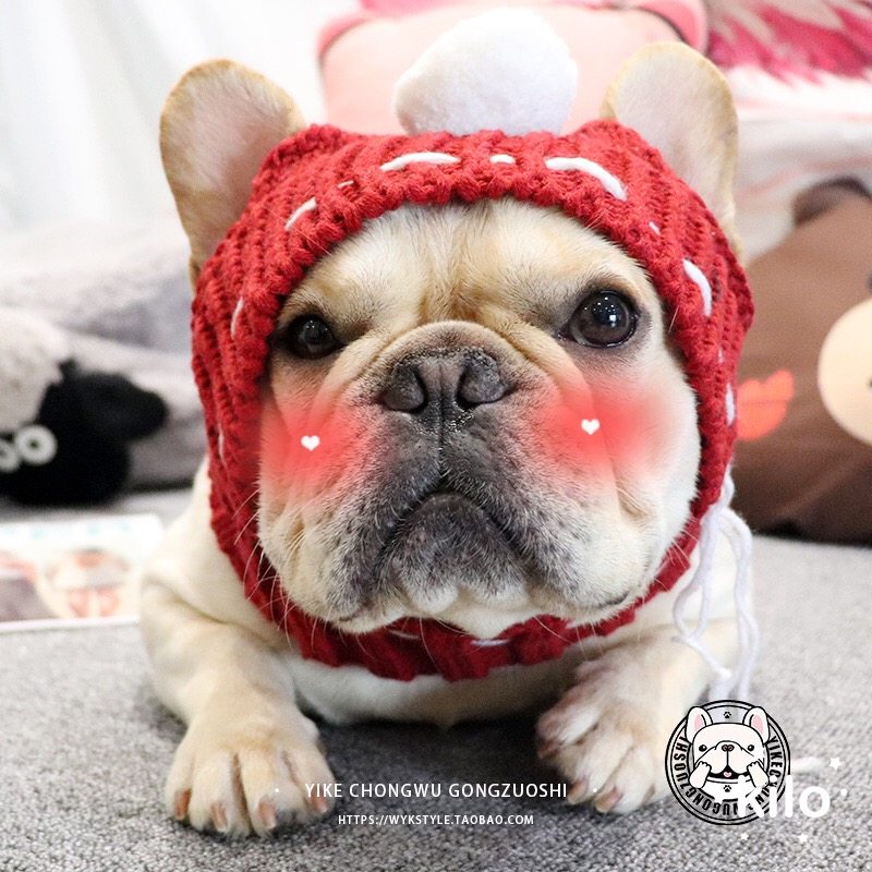 毛线胖狗大头巴哥围脖保暖针织法斗帽子狗狗帽子