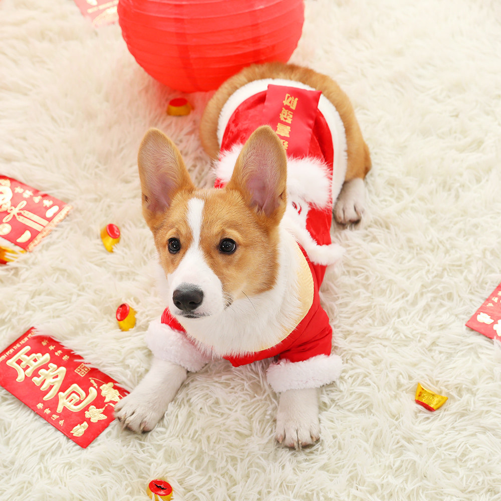 狗狗衣服秋冬唐装新年泰迪柯基博美加厚小型犬宠物狗过年喜庆冬装