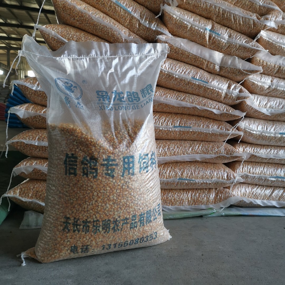 甘肃金科玉米赛鸽信鸽子饲料能量赛飞鸽子粮职业比赛专用50斤包邮