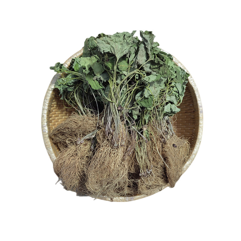 东北野生细参干货野细辛辽细辛整棵全草干品其他药食同源食品