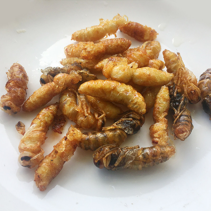 蜂蛹深山野生油炸虎头蜂地雷黄蜂马蜂个大新鲜蜂蜜糖