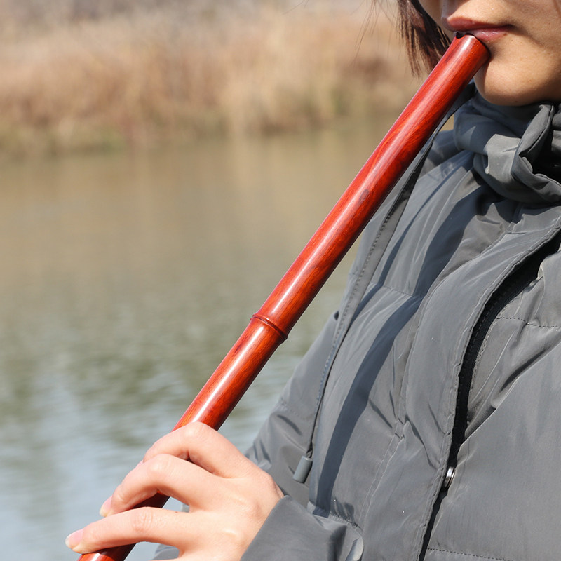 楚吟琴箫孔洞三节专业演奏小叶紫檀檀木南箫箫