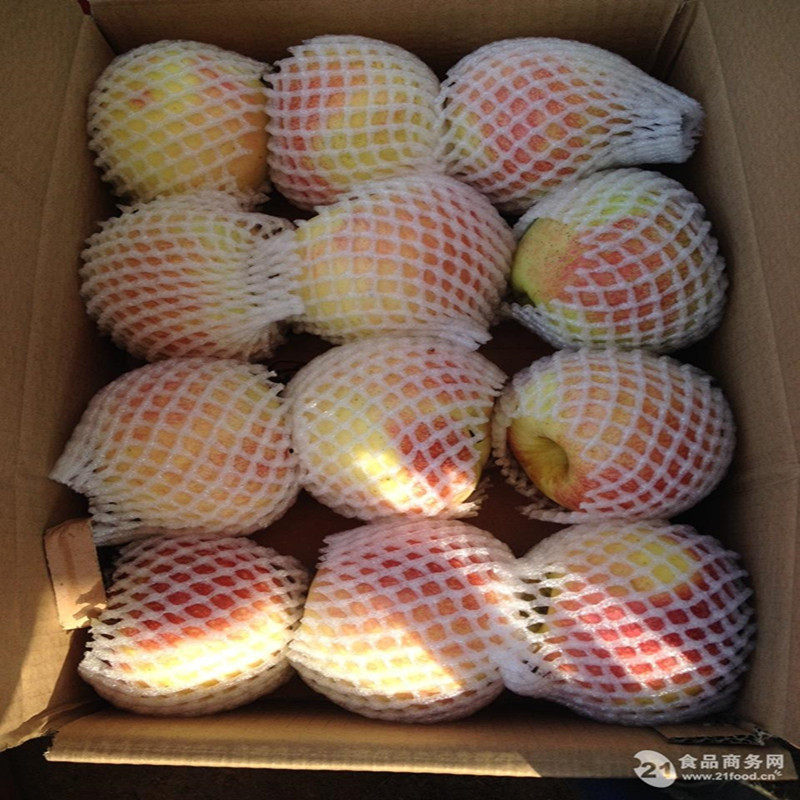 山东烟台富士苹果新鲜10斤特级红苹果整箱水果苹果