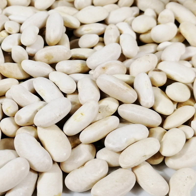 四川雪豆白云豆白芸豆豆包小白农家自产一斤其它