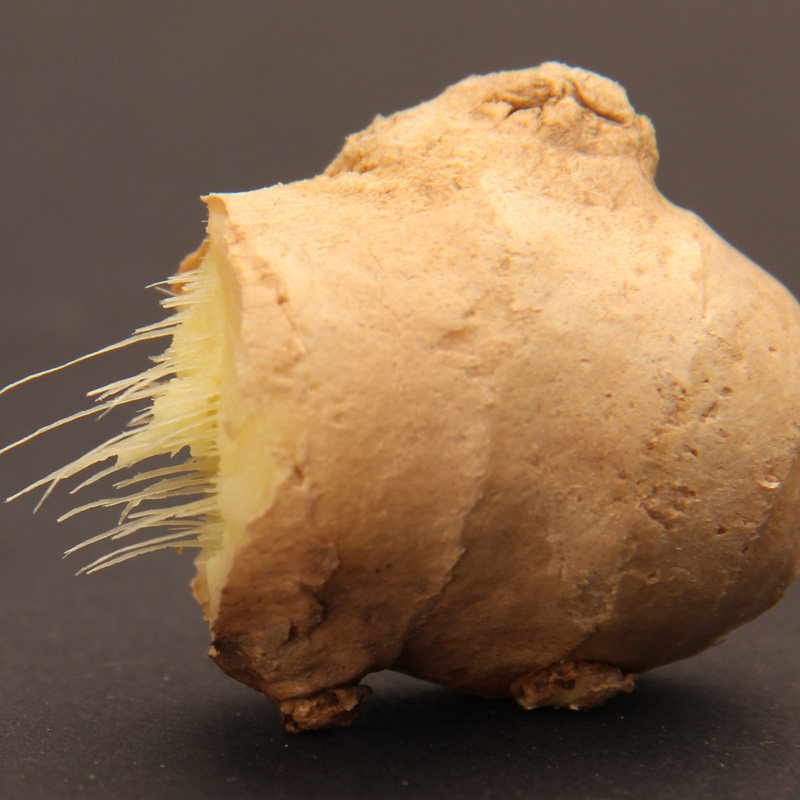 焦作博爱爱新鲜怀姜淮姜姜糖原料生姜老姜非小生姜