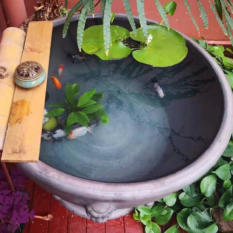 鱼缸室外老北京鱼古法养鱼陶土土泥瓦盆老式桌面缸