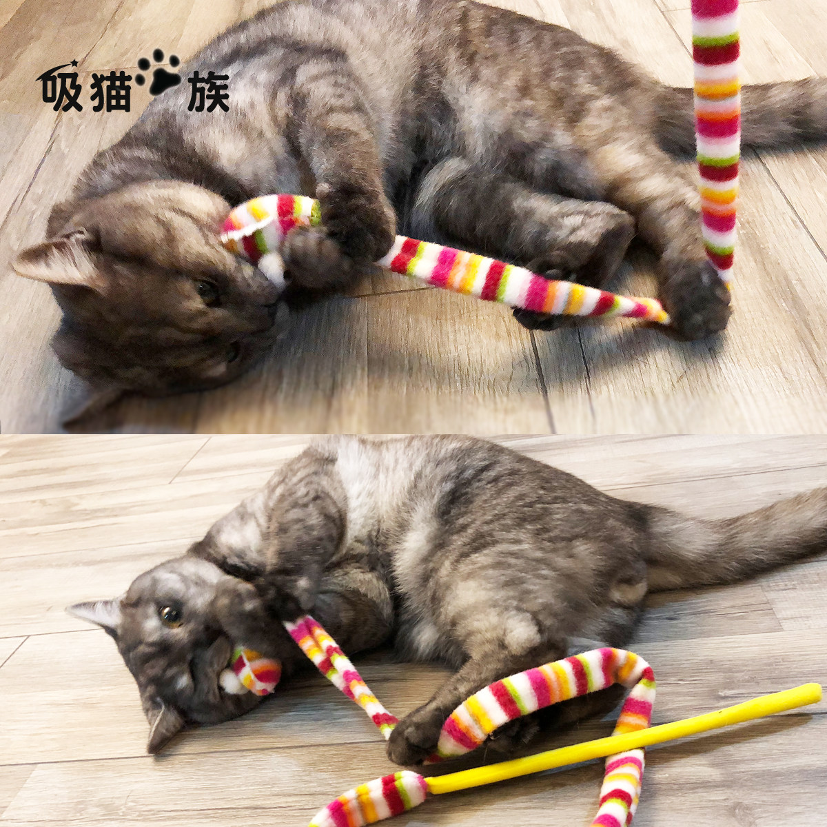 宠物羽毛铃铛逗猫棒小猫咪毛绒布条玩具磨牙逗猫棒