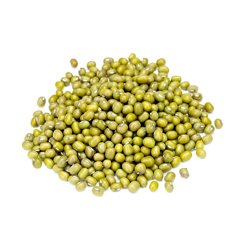 种籽杂粮绿豆种子早熟小豆苗豆芽高产农家水培家庭园艺种子