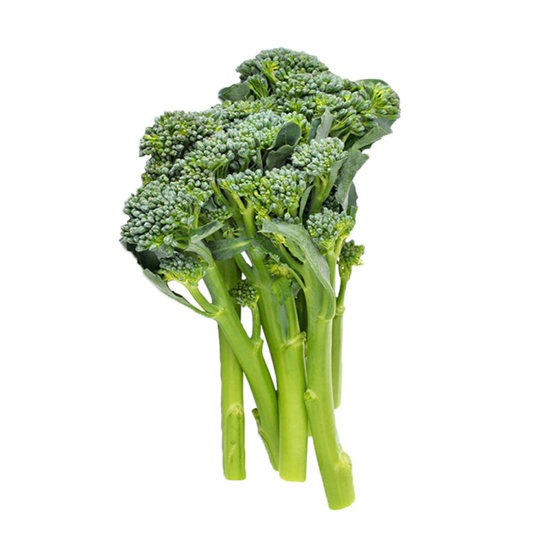 西兰西洋芥蓝种子种籽持续采收长茎兰花秀兰家庭园艺种子