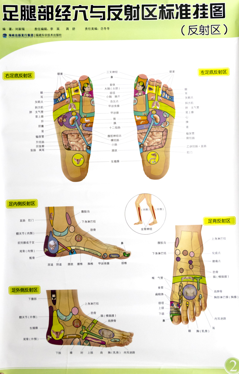 足腿部经穴与反射区标准挂图 正版 - 痕风的起点