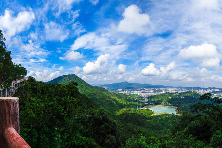 东莞樟木头观音山门票森林公园大门票 古钱币博物馆 高空滑索套票