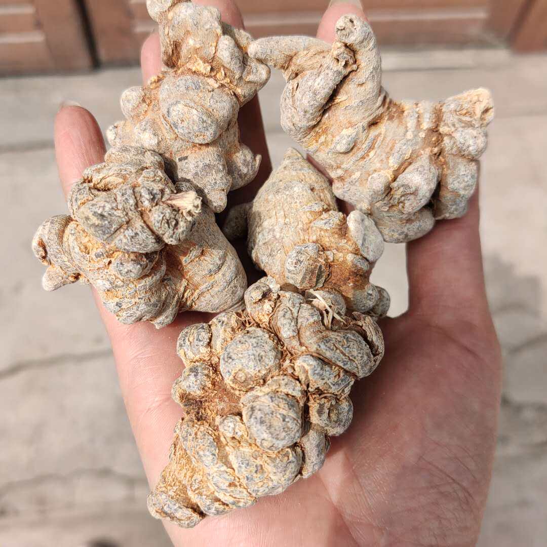 三七云南文山田七203040头5060120头水洗滑头免费磨粉三七