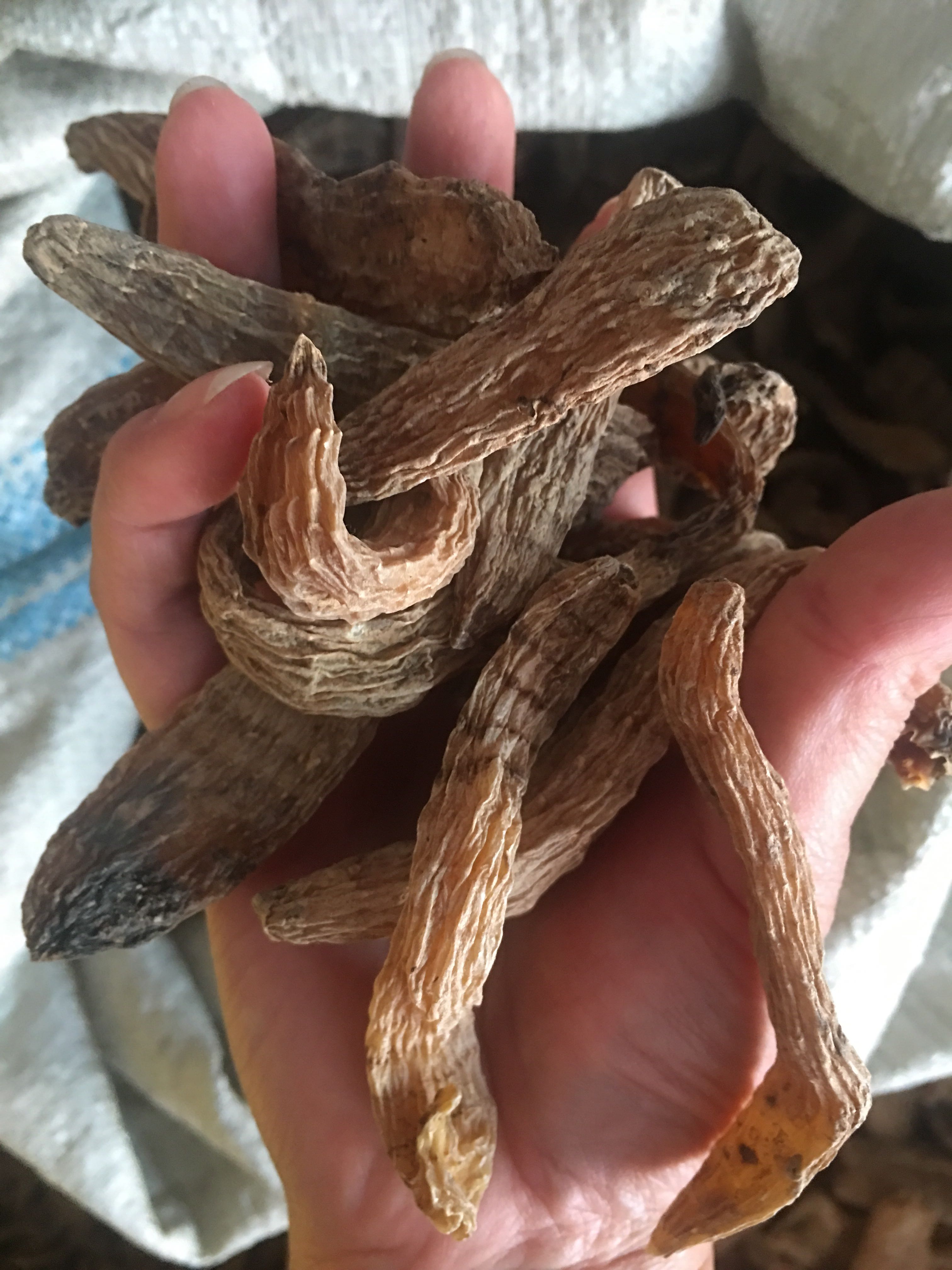 东北长白山野生天麻250克罐装2025304060新品上架免费天麻