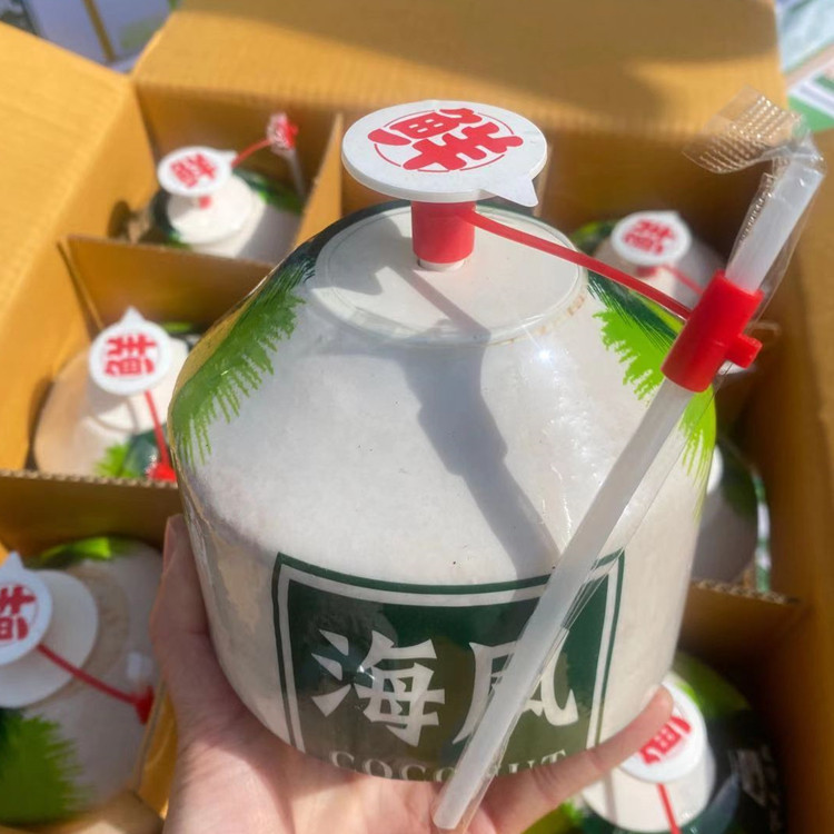 水果码头海风香椰泰国进口椰青新鲜香水椰子汁椰青