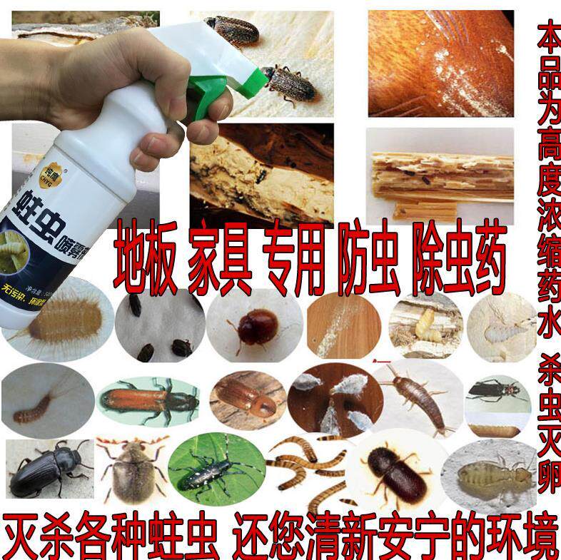 皮蠹杀虫剂家用木头家具蛀虫除虫防柱虫蛀木虫杀虫剂卫生农药