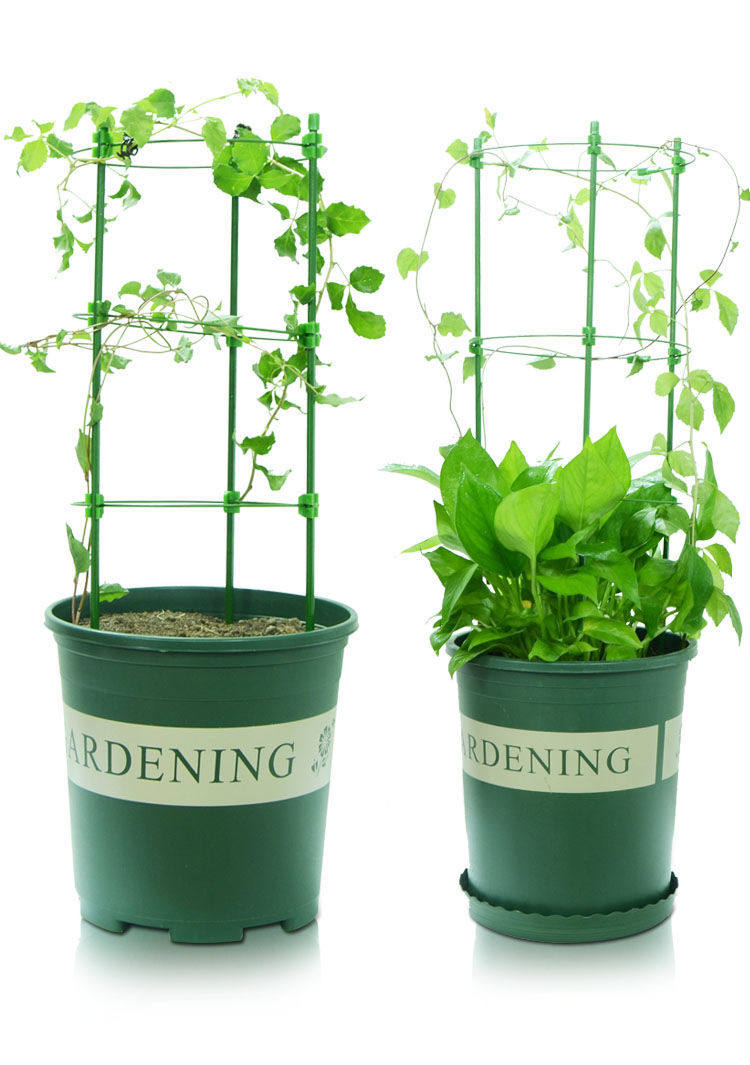 爬藤阳台网格倒伏钱树金钱树室外植物支架月季花架