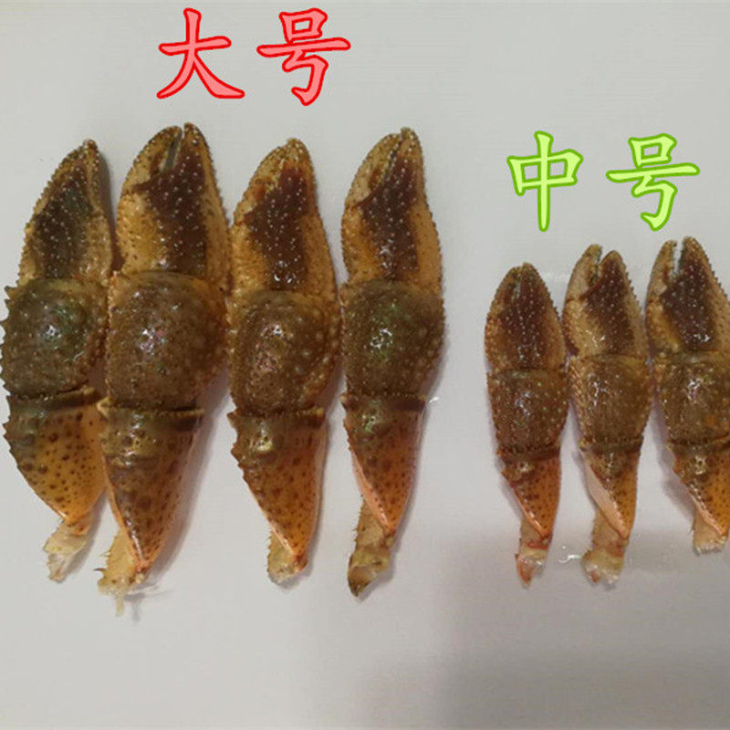 蟹腿寄居搜鱼青岛新鲜蟹蟹海怪大号怪腿蟹脚