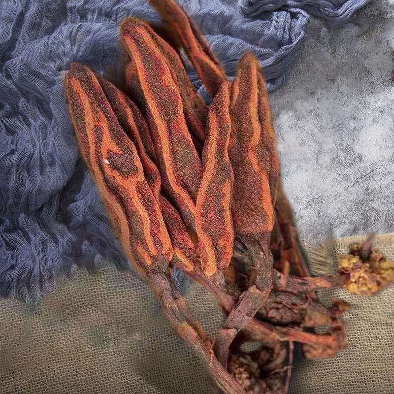 回春春草野生不老云南250g肉丛蓉顶天柱男性其他药食同源食品