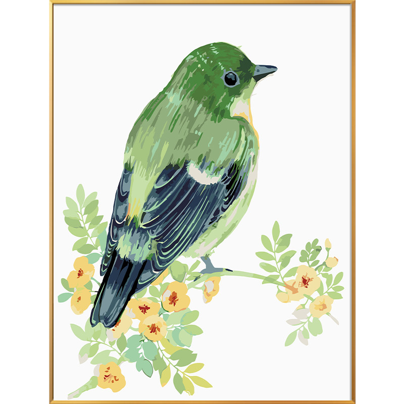 画画diy数字油画蜂鸟灵鸟手工填充填色油彩手绘diy