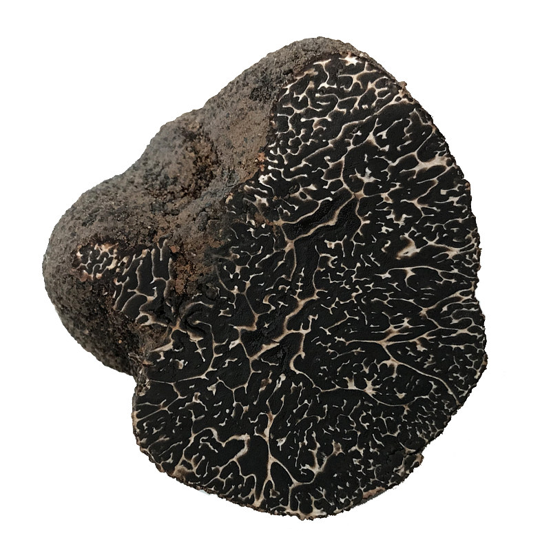 22年新鲜黑松露菌成熟野生blacktruffle云南顺丰酒店新鲜松茸