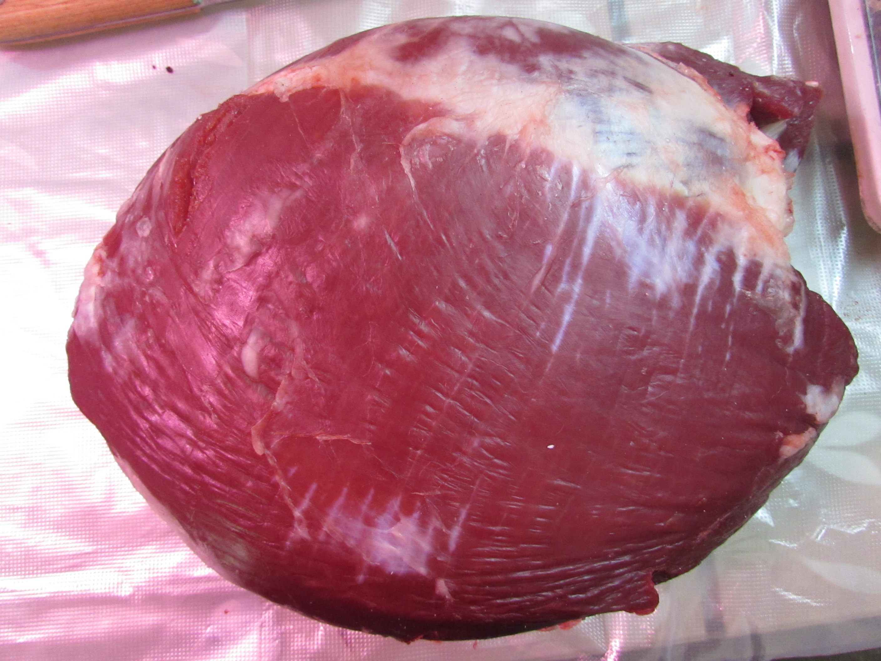 宁波实体25.5一斤牛林牛霖牛肉和尚其它