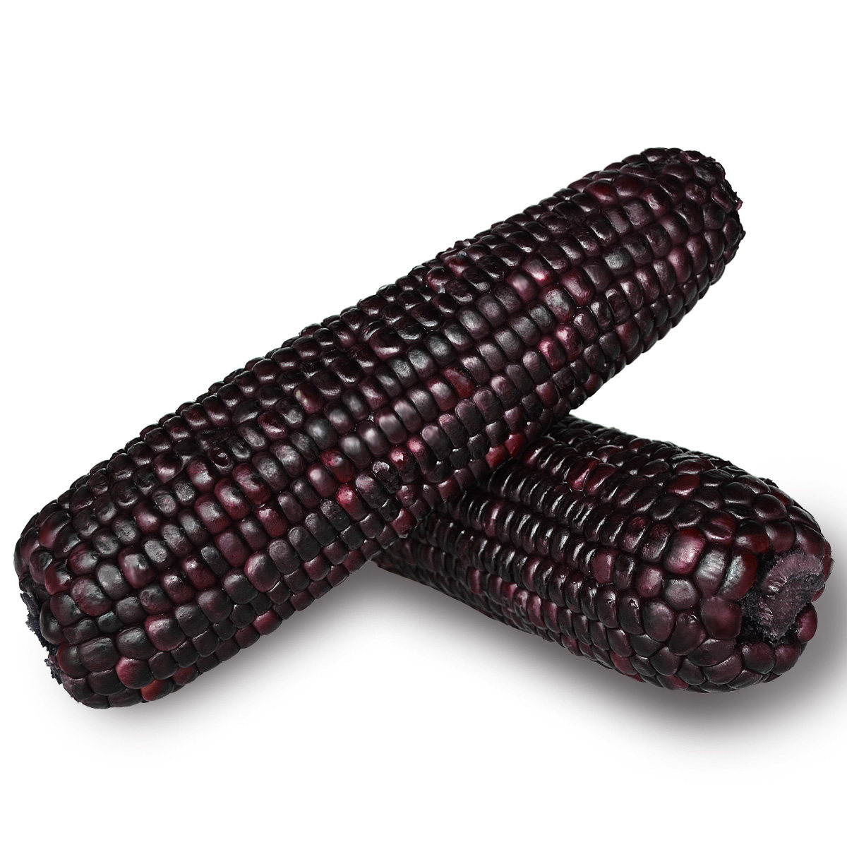 非转基因紫糯玉米有机黑玉米棒新鲜水果玉米粗粮10条