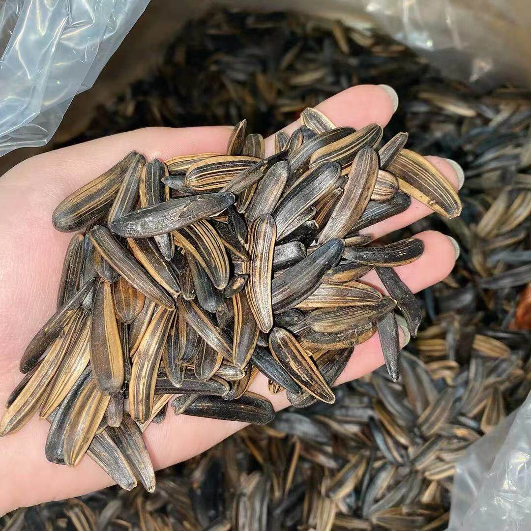 2021新货黑狼狼牙瓜子细长散装月牙五香十八瓜子