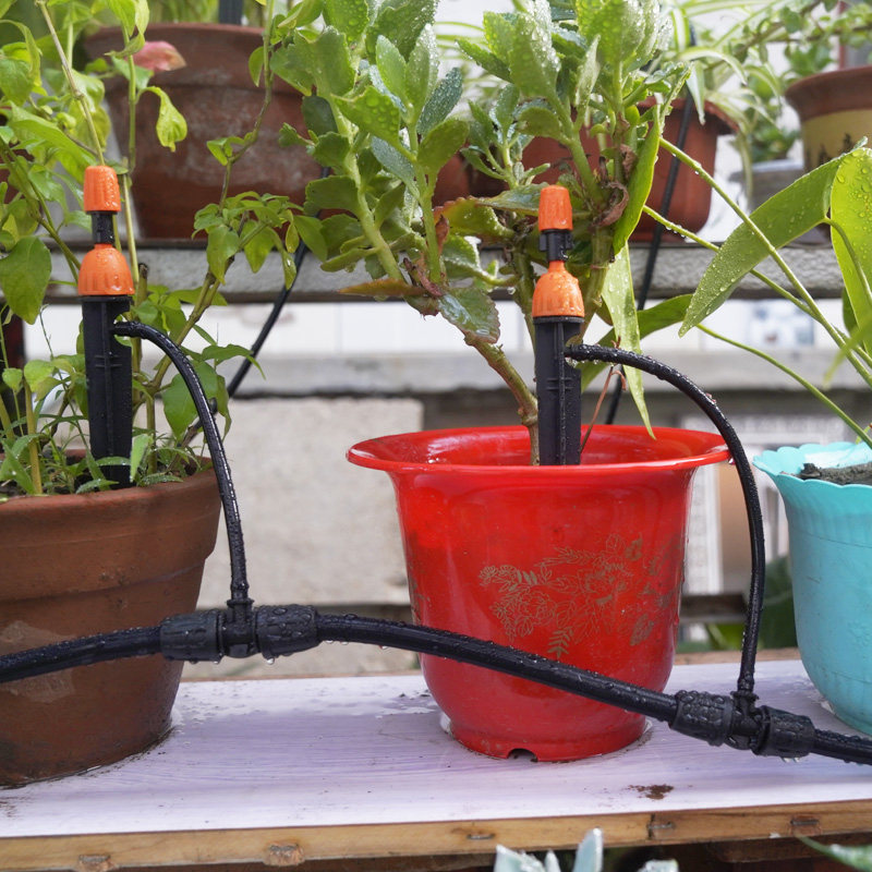 毛管滴灌园艺软管园林浇花神器微喷喷头灌溉毛管