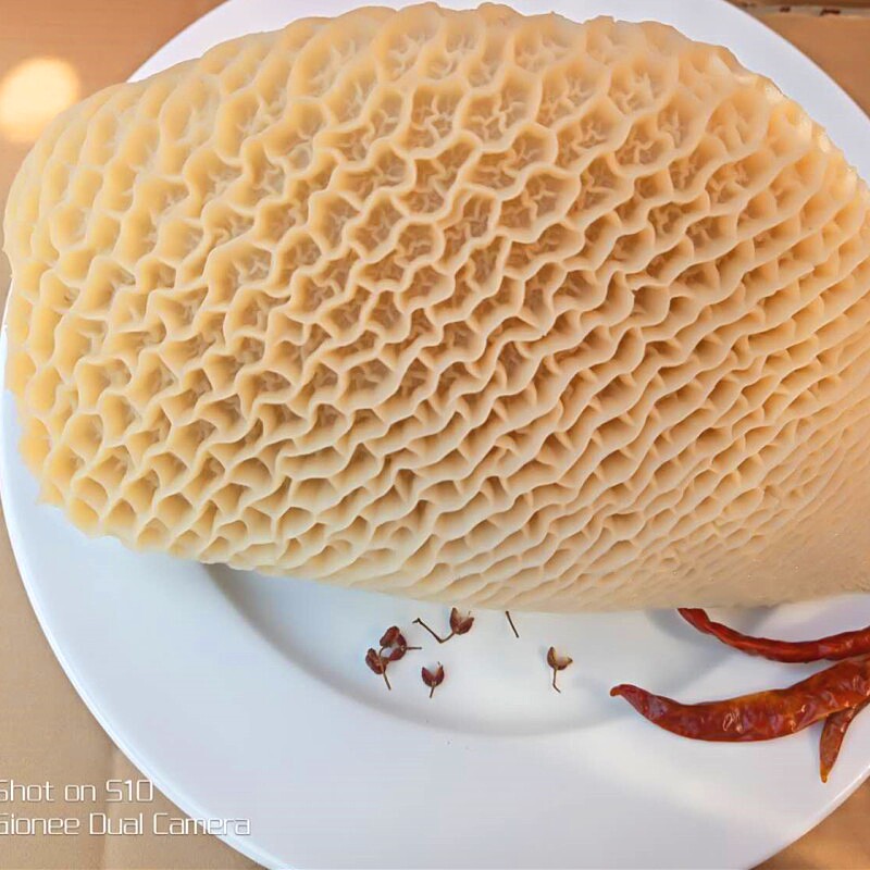 新鲜金钱500g蜂窝牛肚毛肚百叶牛杂火锅食材牛杂类