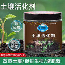 Berkcan soil activated Baomine source yellow rot potassium microbial inoculum Improved plate-binding nutritive soil activator