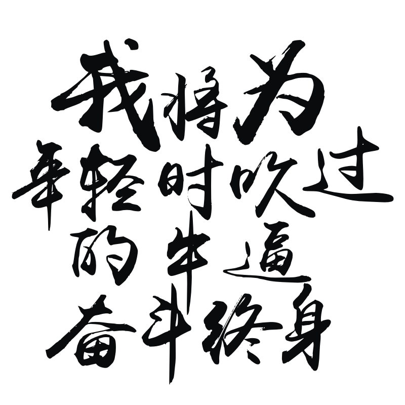 我将为年轻时吹过的牛逼奋斗终身励志个性创意汽车贴纸车门反光贴