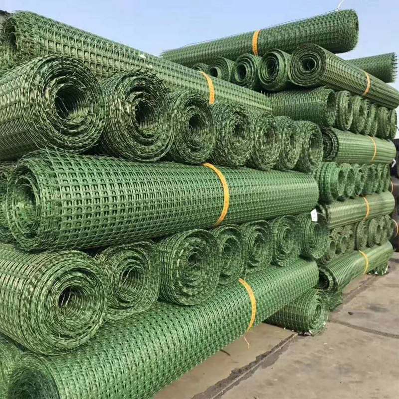 土工格栅绿色塑料防护网小孔养鸡鸭户外围栏护栏网隔离养殖网平网
