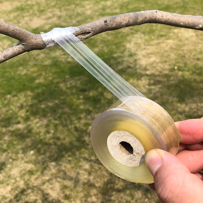 嫁接自粘园林果树专用缠绕pe胶带包扎带接农用薄膜