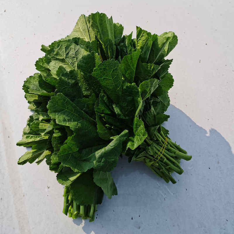 四川新鲜冬寒菜新鲜3斤叶菜蔬菜农家特产野菜冬汉涵菜马蹄菜冬苋