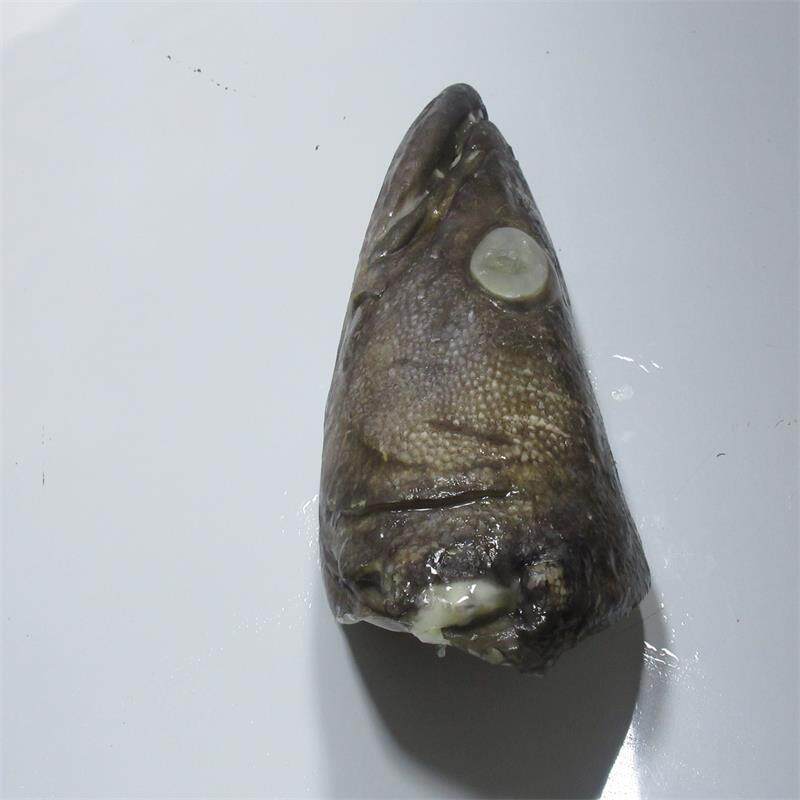 鱼头银鳕全国左右2斤约重半只开边国大法国鳕鱼