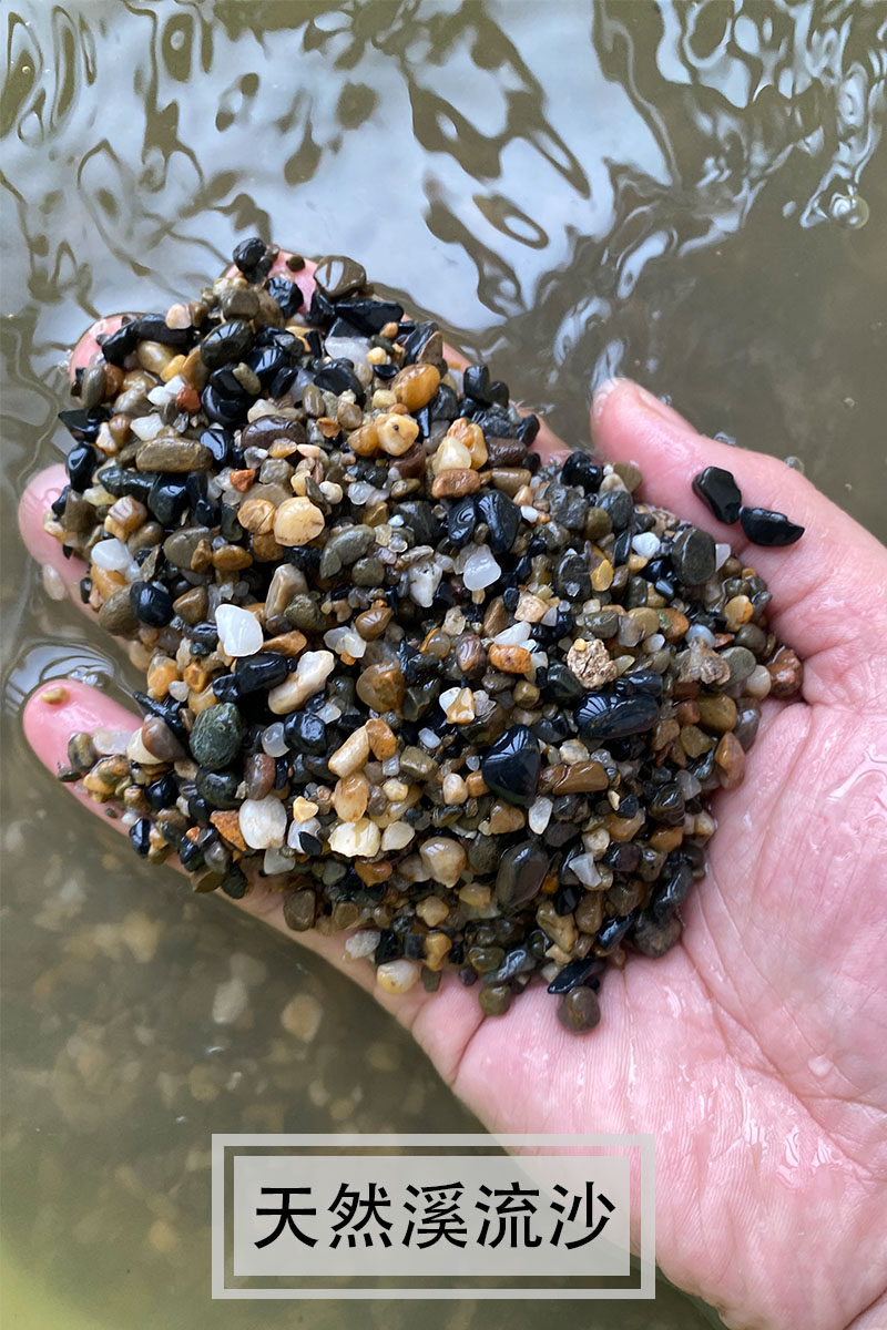 5斤天然原生河沙溪流沙溪流石大矶鱼草缸底砂虾造景