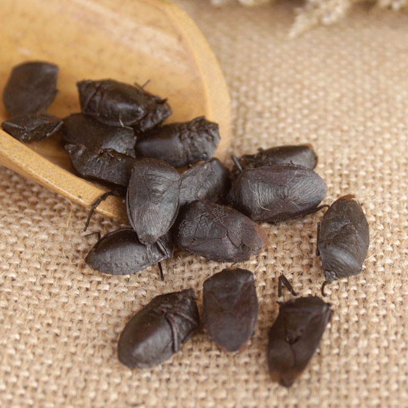 九香正品野生大个打屁虫臭板虫兜虫中药材屁巴其他药食同源食品