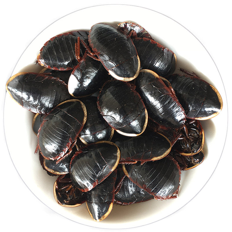 金边土元地中药材土鳖250g新货土别中华乌龟鳖粉其他药食同源食品