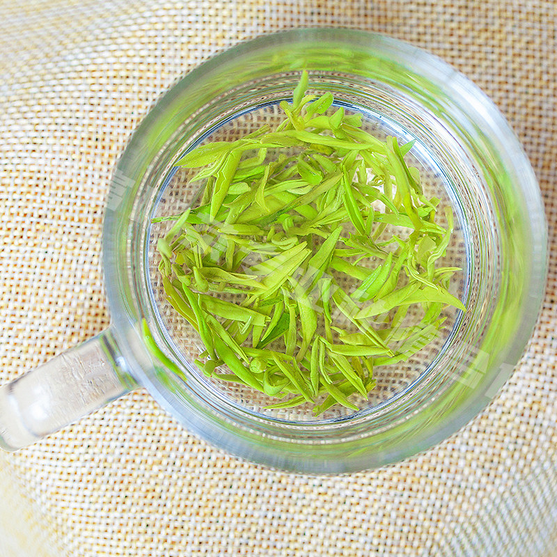 品品紫阳翠芽茶叶明前高山绿茶春茶2022新茶其它绿茶