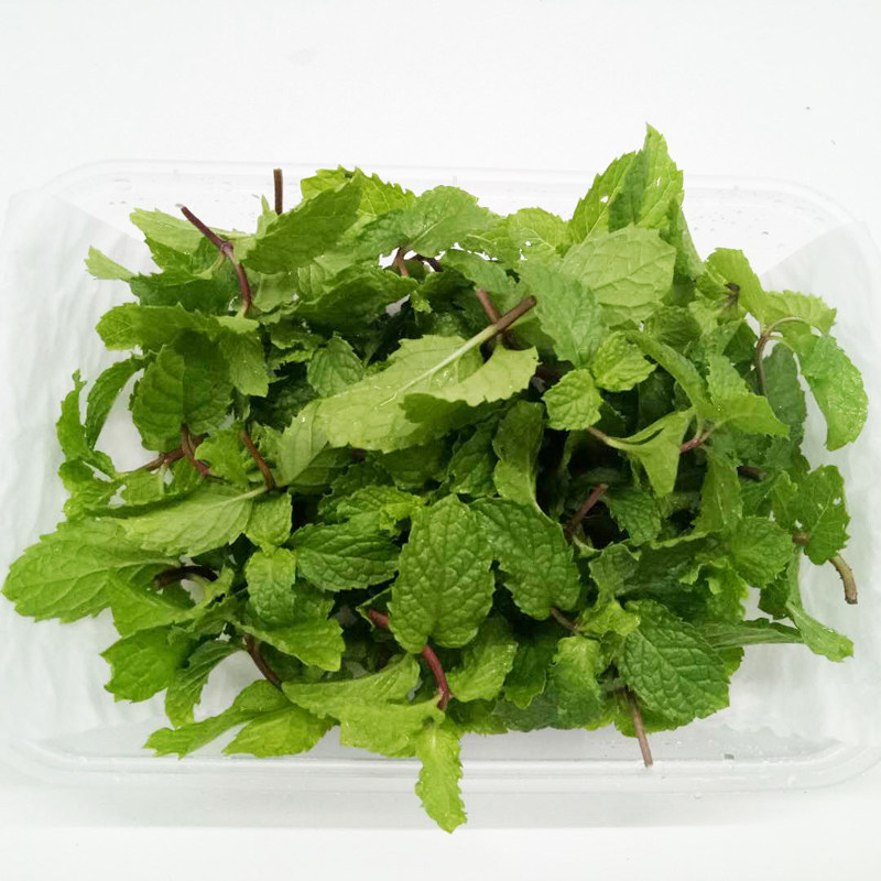 薄荷新鲜摆盘装饰荷叶可食用蛋糕烘焙香料调酒其它